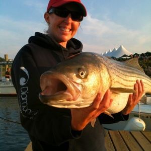 Meet your Posher, Jill